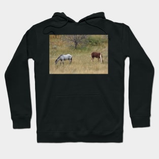 Two Wild Bachelor Stallions Hoodie